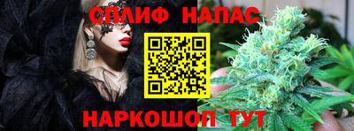 дмт Жуковский
