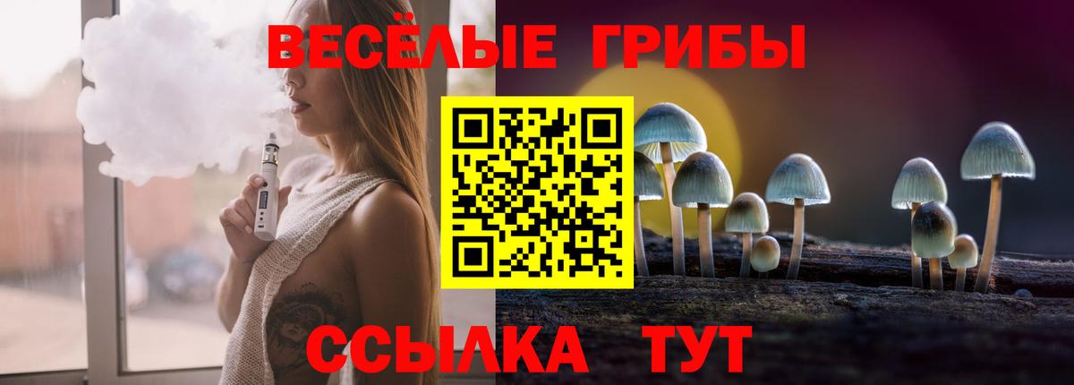 Галлюциногенные грибы Cubensis Ликино-Дулёво